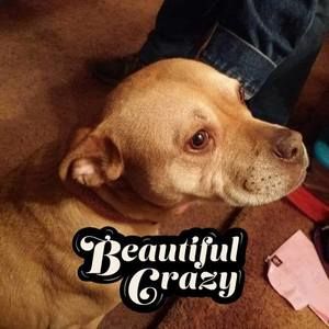 Meet your Posher, Shane